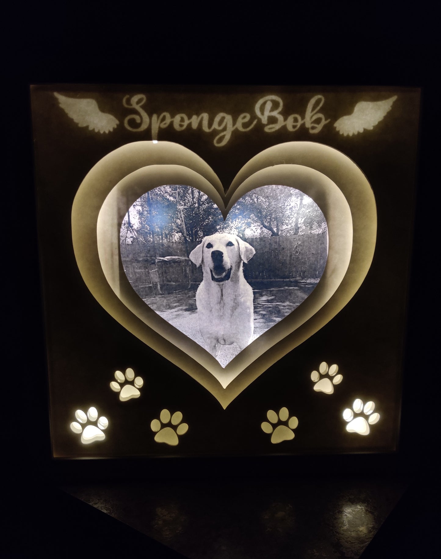 Pet memorial light box