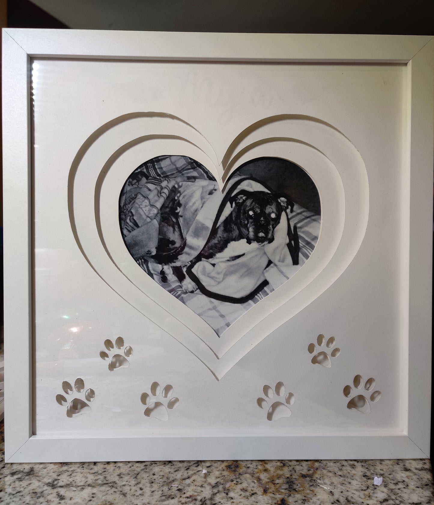 Pet memorial light box