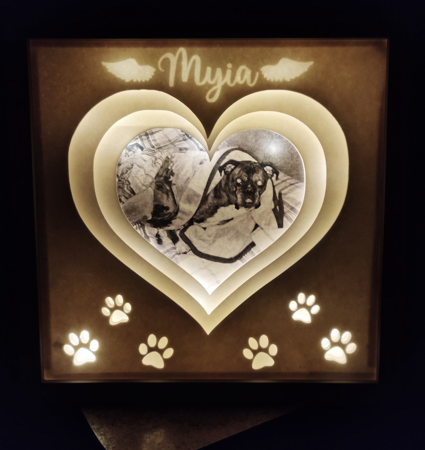 Pet memorial light box