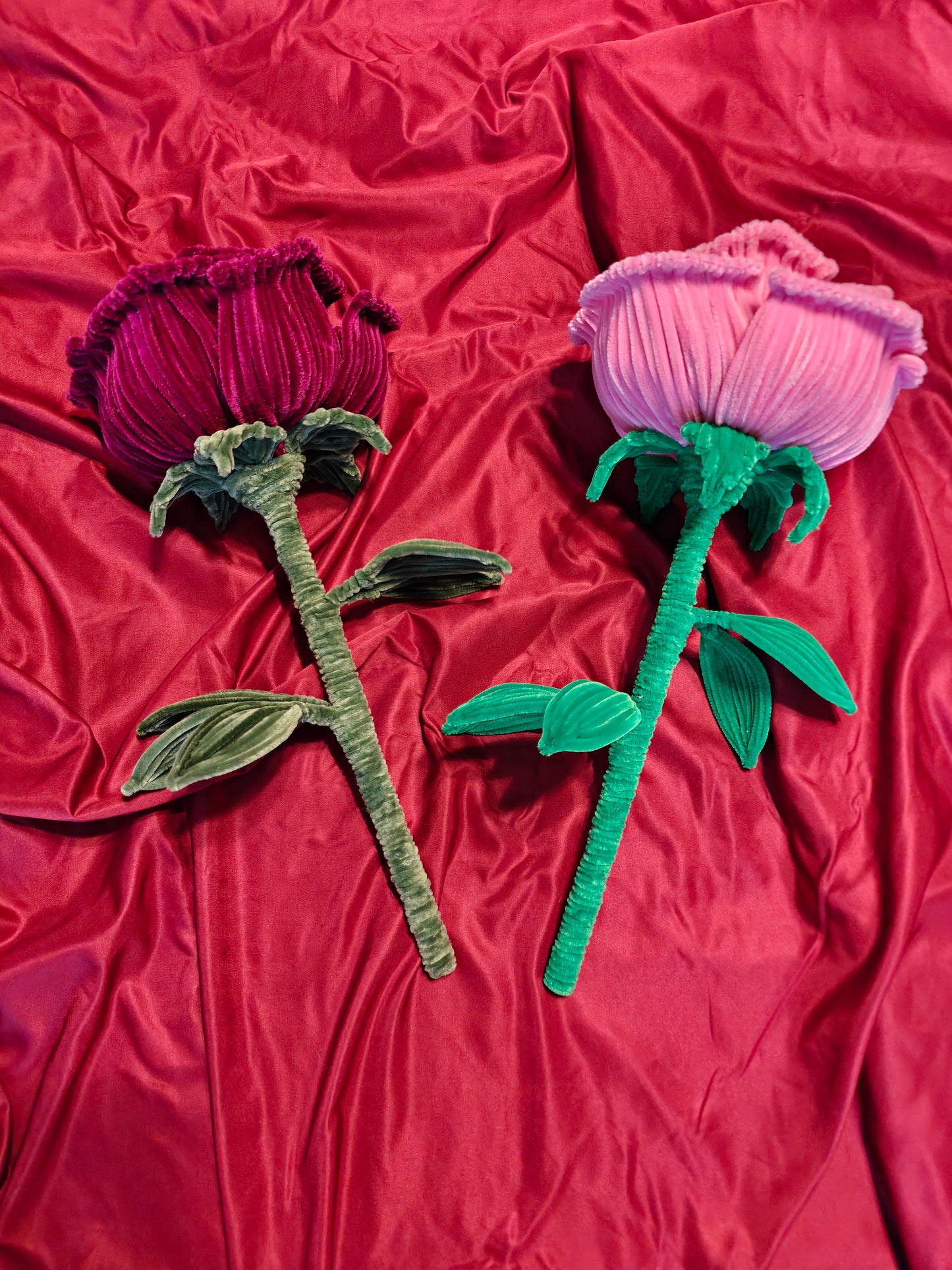 Giant forever rose
