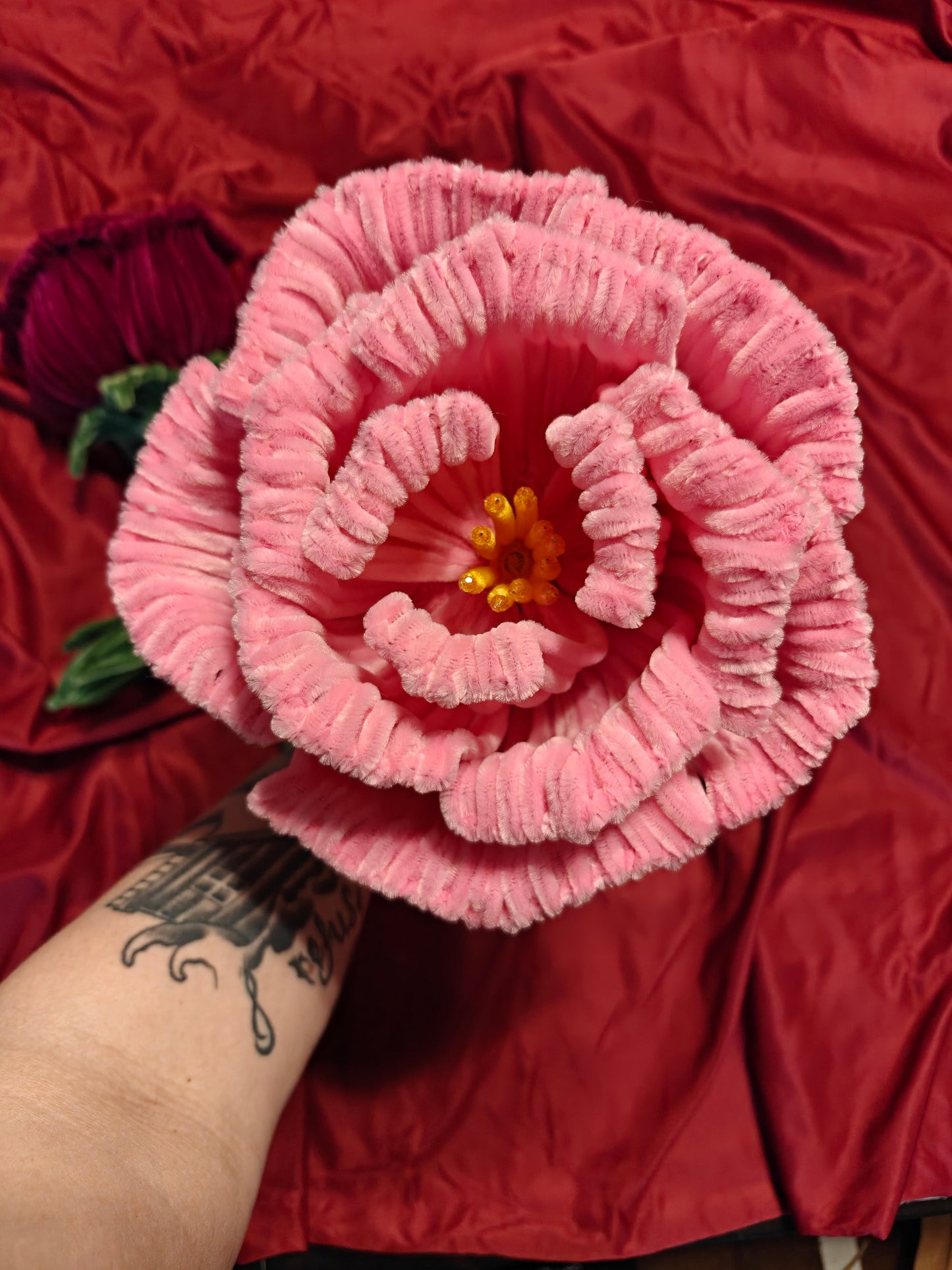 Giant forever rose