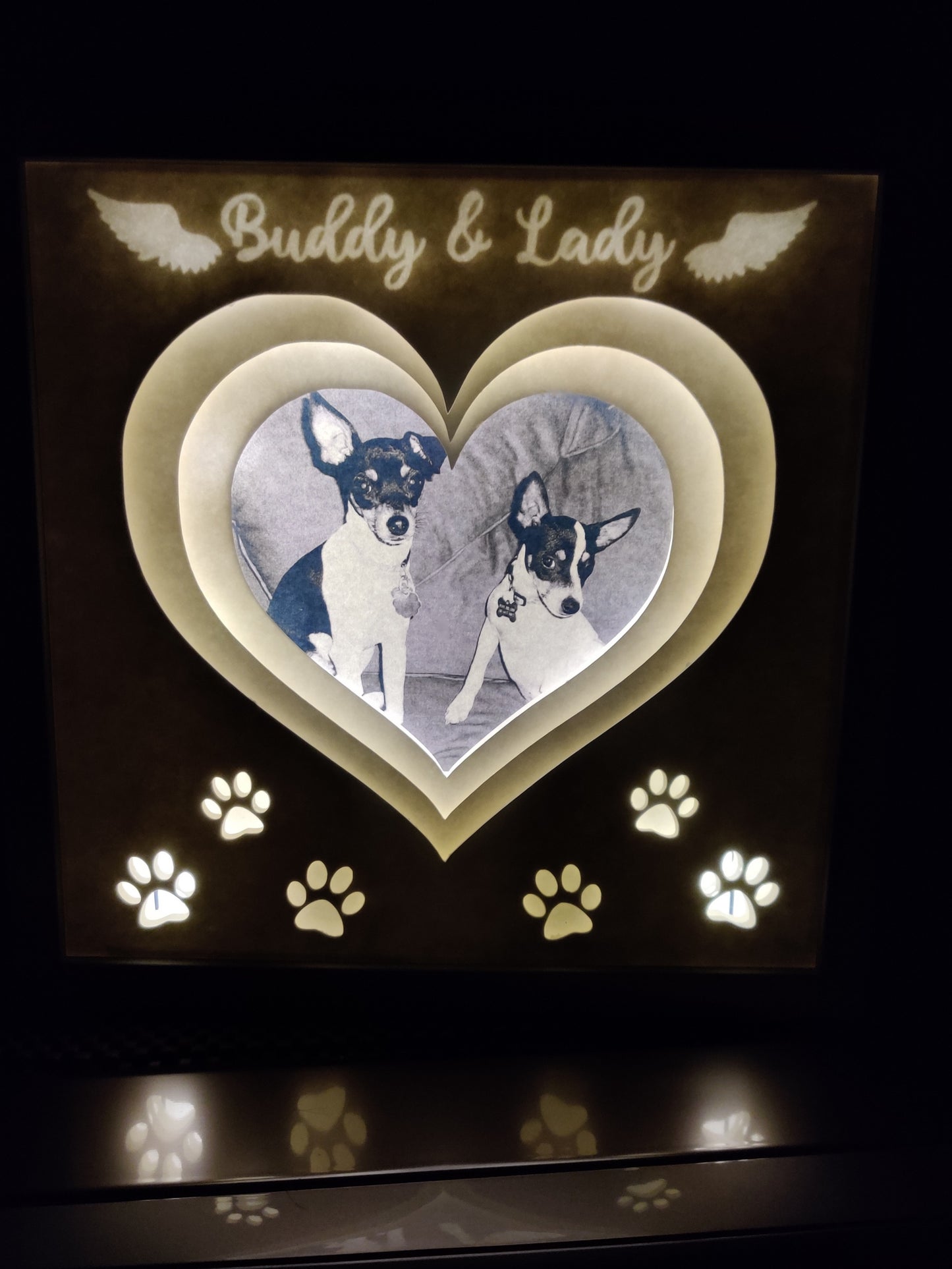 Pet memorial light box
