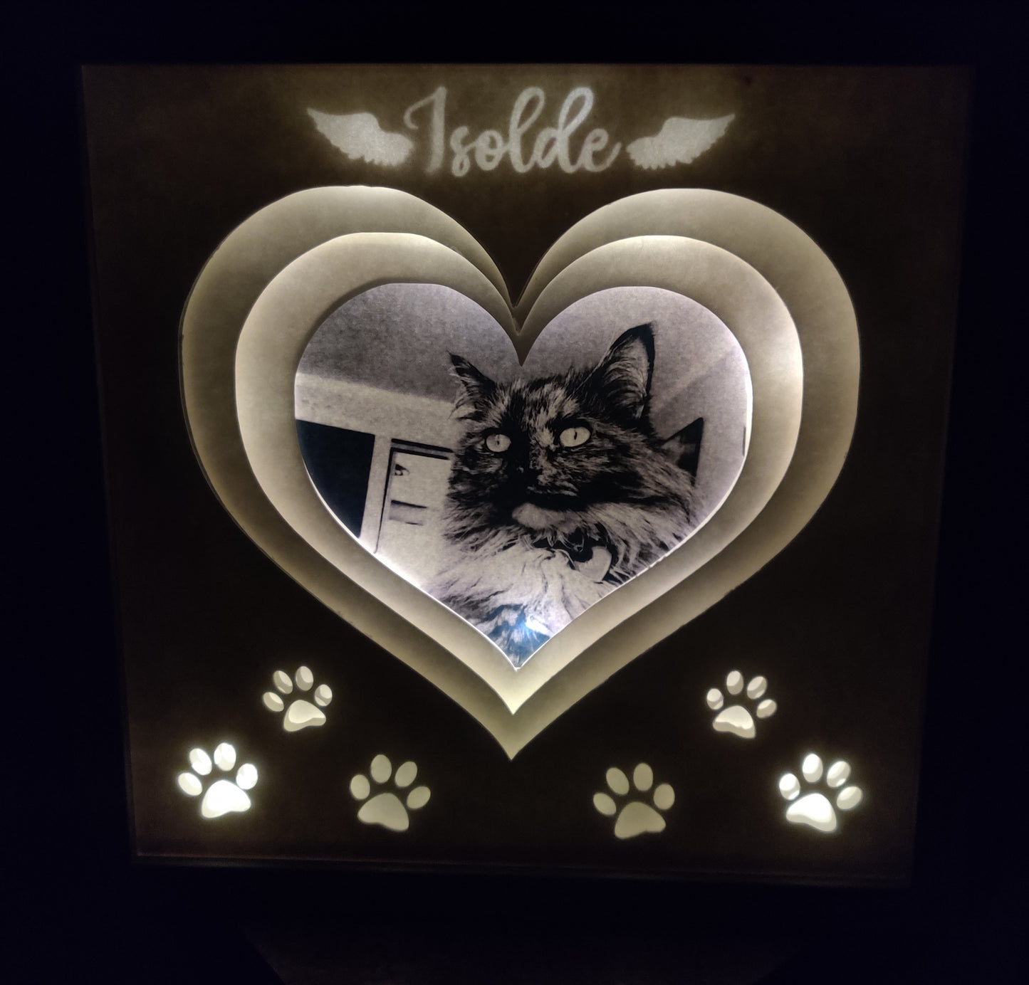 Pet memorial light box