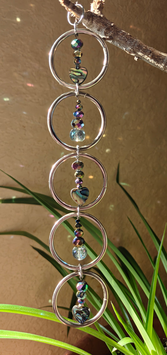 Abalone Rainbows